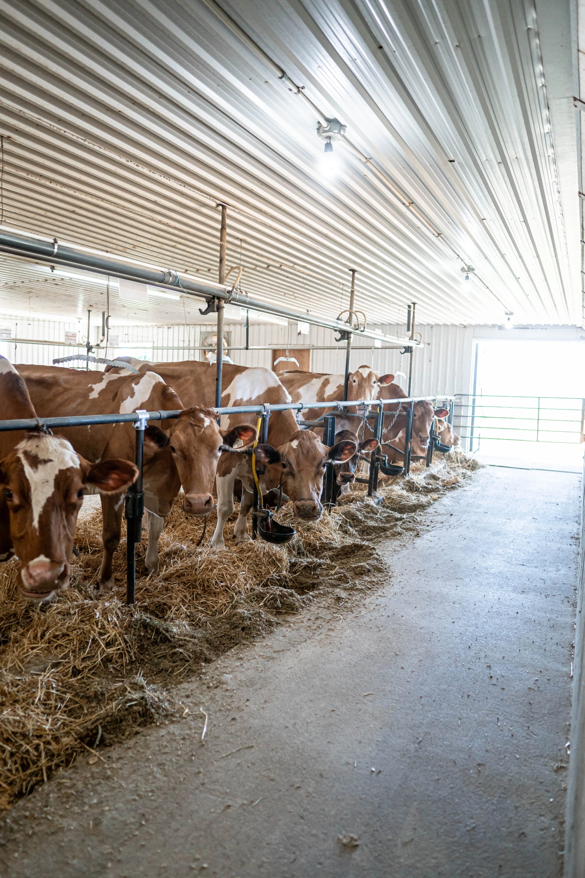 Eby Manor barn tour